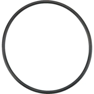 Fuel Pump Gasket  4222834M1 Massey Ferguson (AGCO)