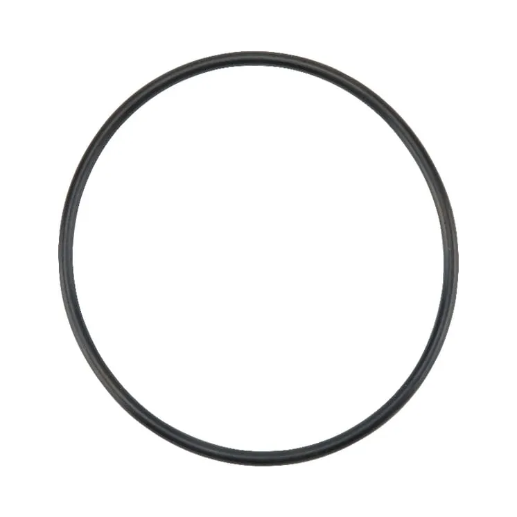 Fuel Pump Gasket  4222834M1 Massey Ferguson (AGCO)