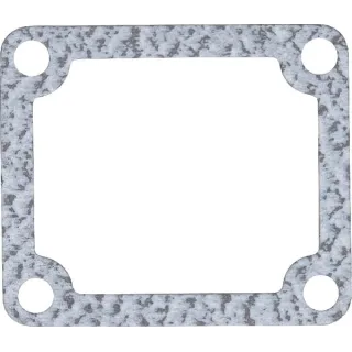 Thermostat Gasket  4222851M1 Massey Ferguson (AGCO)