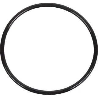 Termostata blīve 4222848M1 Massey Ferguson (AGCO)
