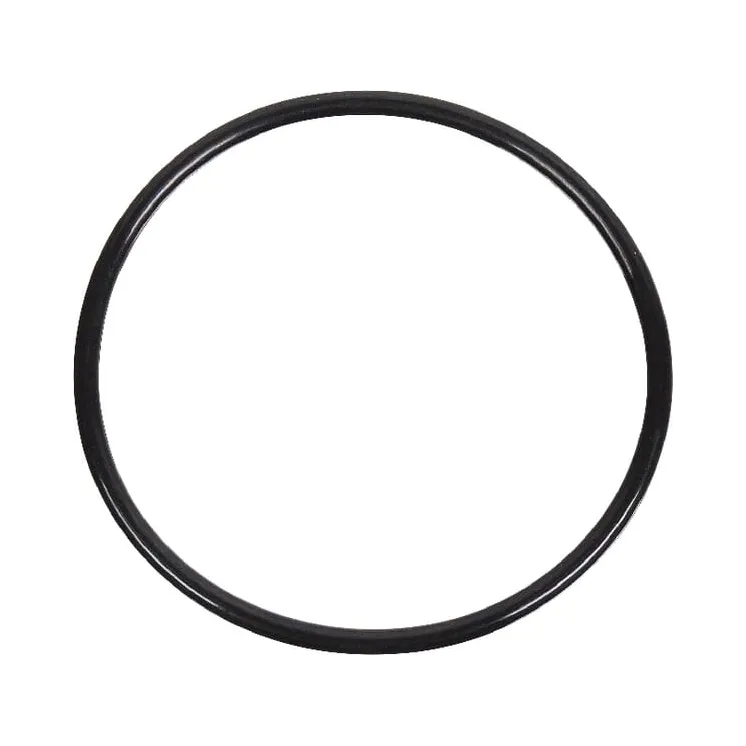 Thermostat Gasket  4222848M1 Massey Ferguson (AGCO)