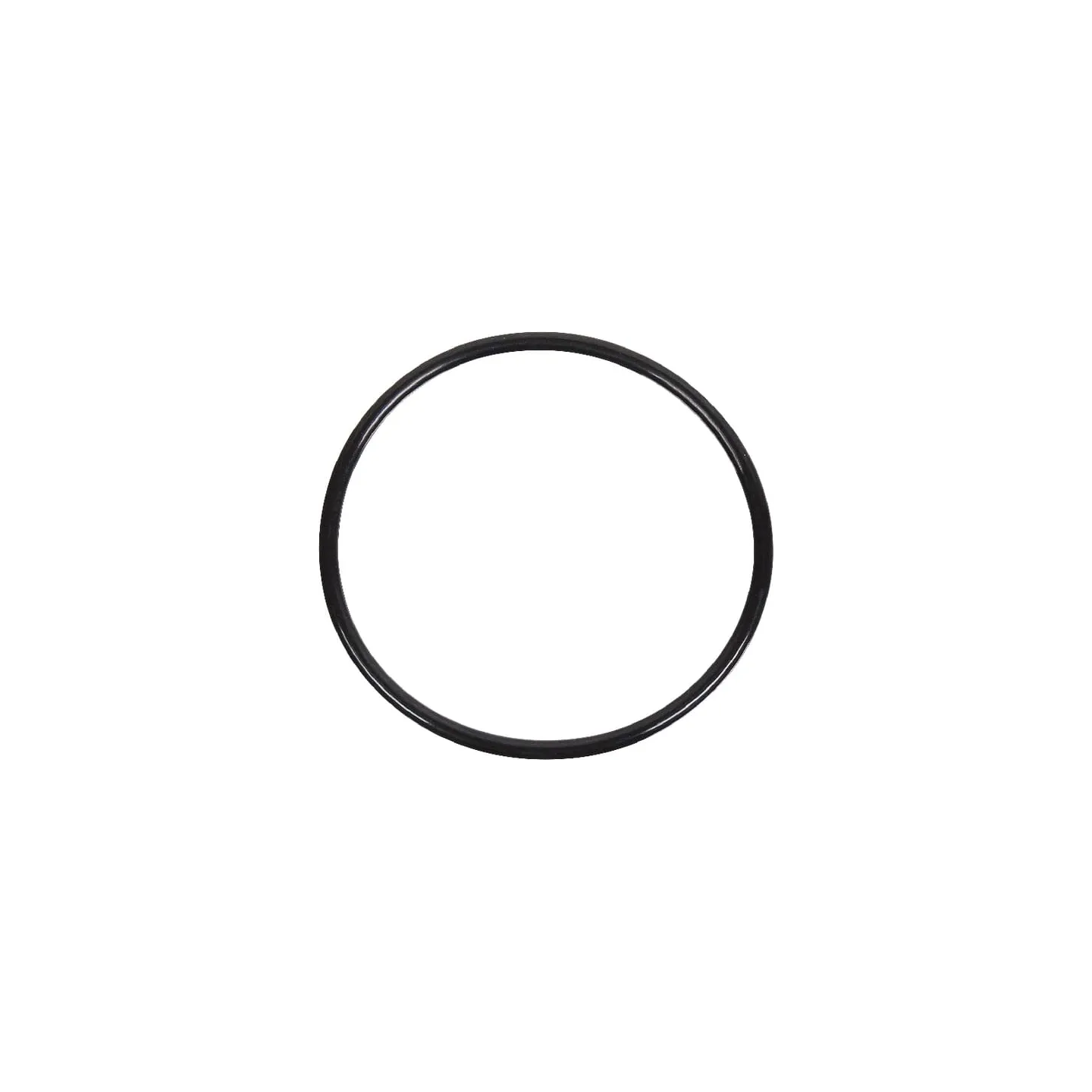Thermostat Gasket  4222848M1 Massey Ferguson (AGCO)