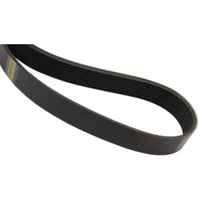 V-belt  4285560M3 Massey Ferguson (AGCO)
