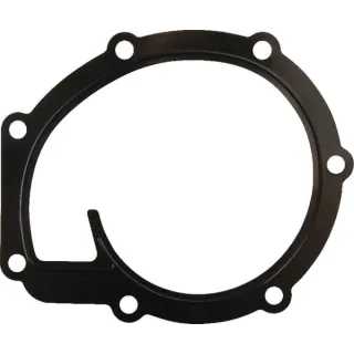 Ūdens sūkņa blīve 4225204M1 Massey Ferguson (AGCO)