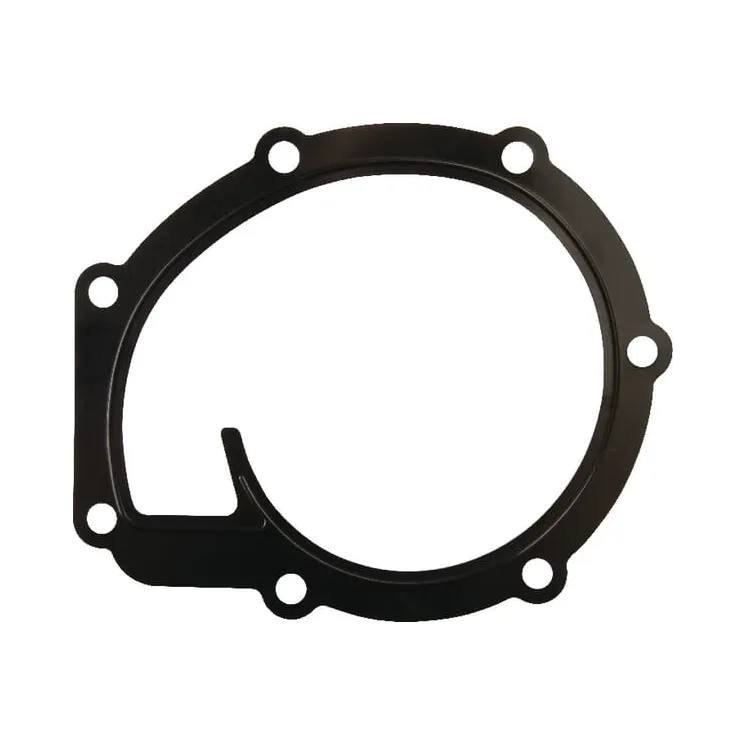 Water pump gasket  4225204M1 Massey Ferguson (AGCO)