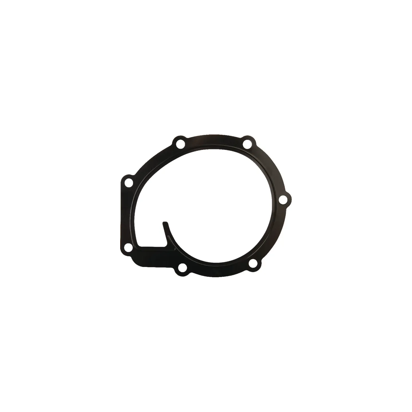 Water pump gasket  4225204M1 Massey Ferguson (AGCO)