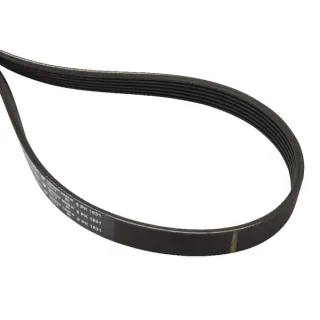 V-belt  4281725M1 Massey Ferguson (AGCO)