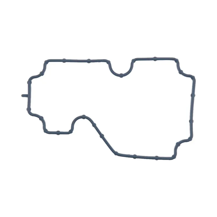 Thermostat House Gasket  4224961M1 Massey Ferguson (AGCO)
