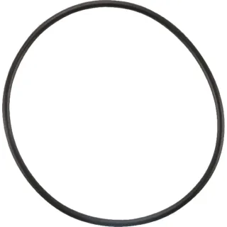Termostata blīve 4223842M1 Massey Ferguson (AGCO)