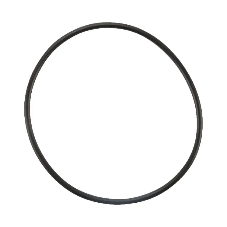 Thermostat Gasket  4223842M1 Massey Ferguson (AGCO)
