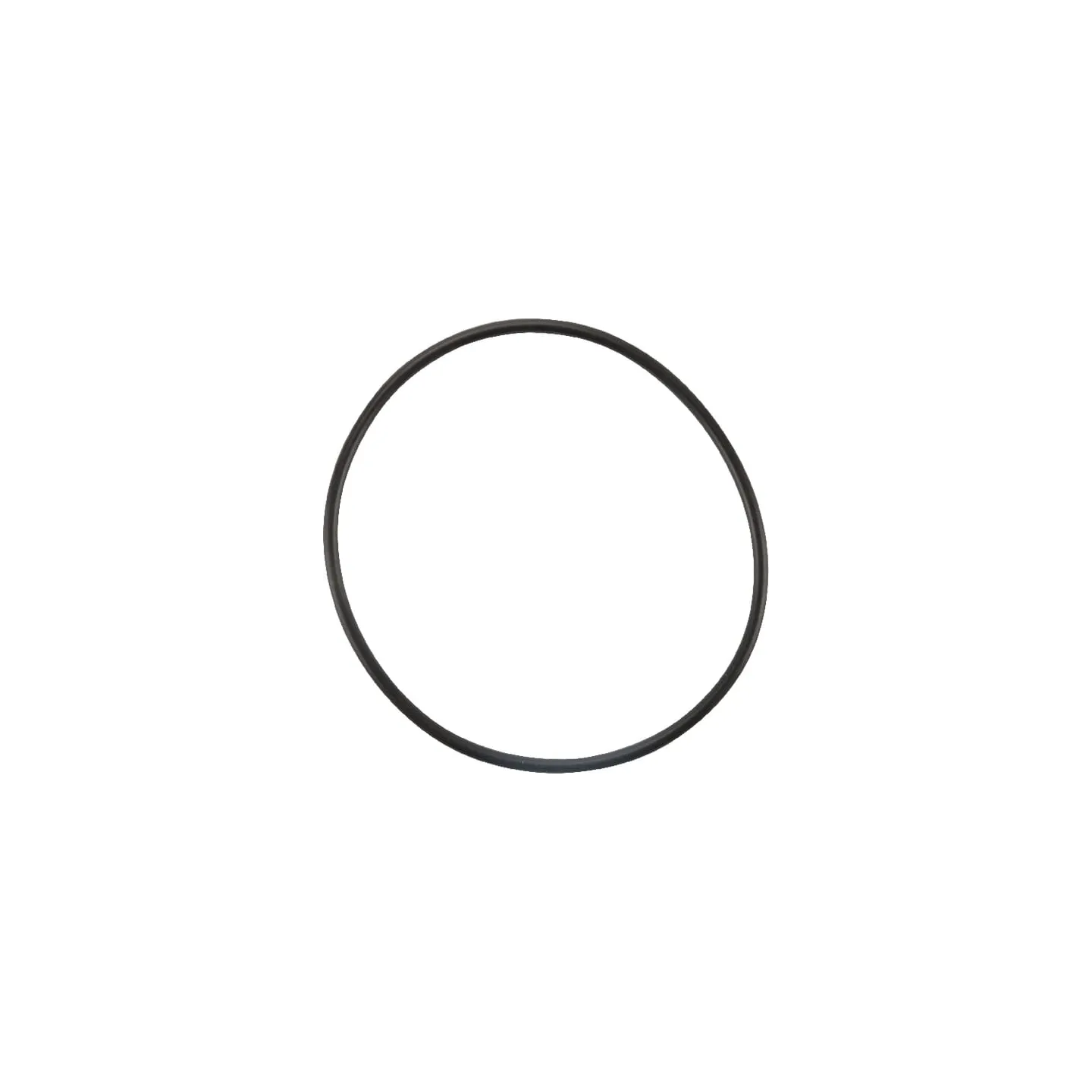 Thermostat Gasket  4223842M1 Massey Ferguson (AGCO)