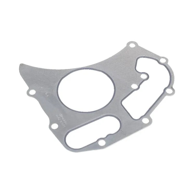 Water pump gasket  4224960M1 Massey Ferguson (AGCO)