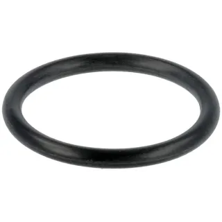 Sprauslas turētājs O veida gredzens 4225847M1 Massey Ferguson (AGCO)