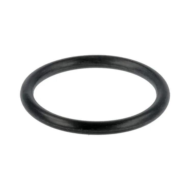 Sprauslas turētājs O veida gredzens 4225847M1 Massey Ferguson (AGCO)