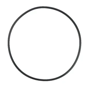 Rubber ring   4450759 SDF
