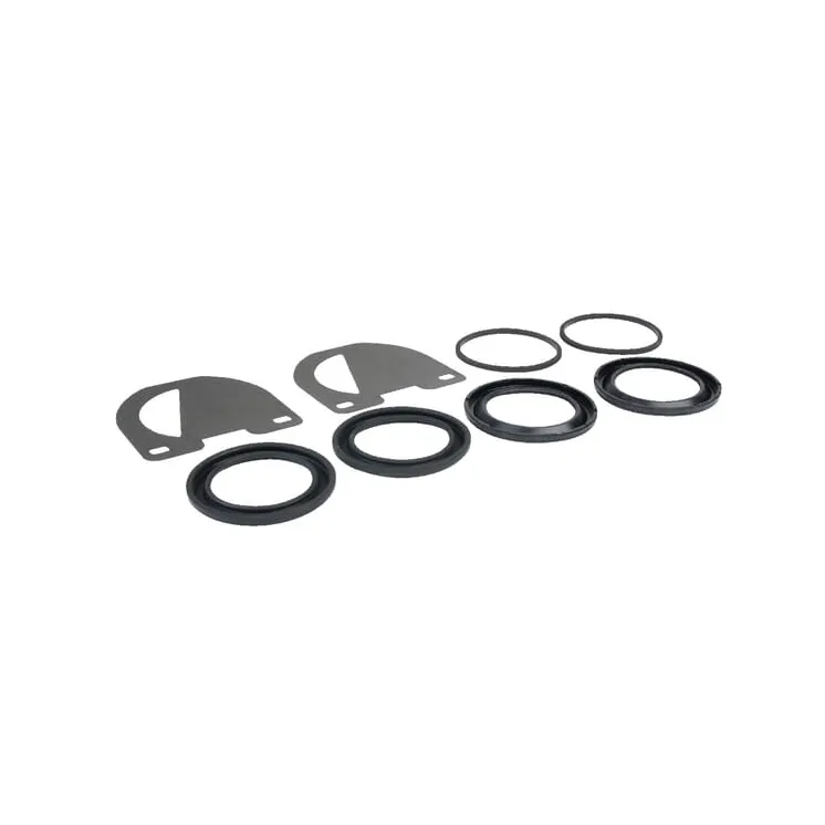 Seal kit for brake caliper   4384832 SDF