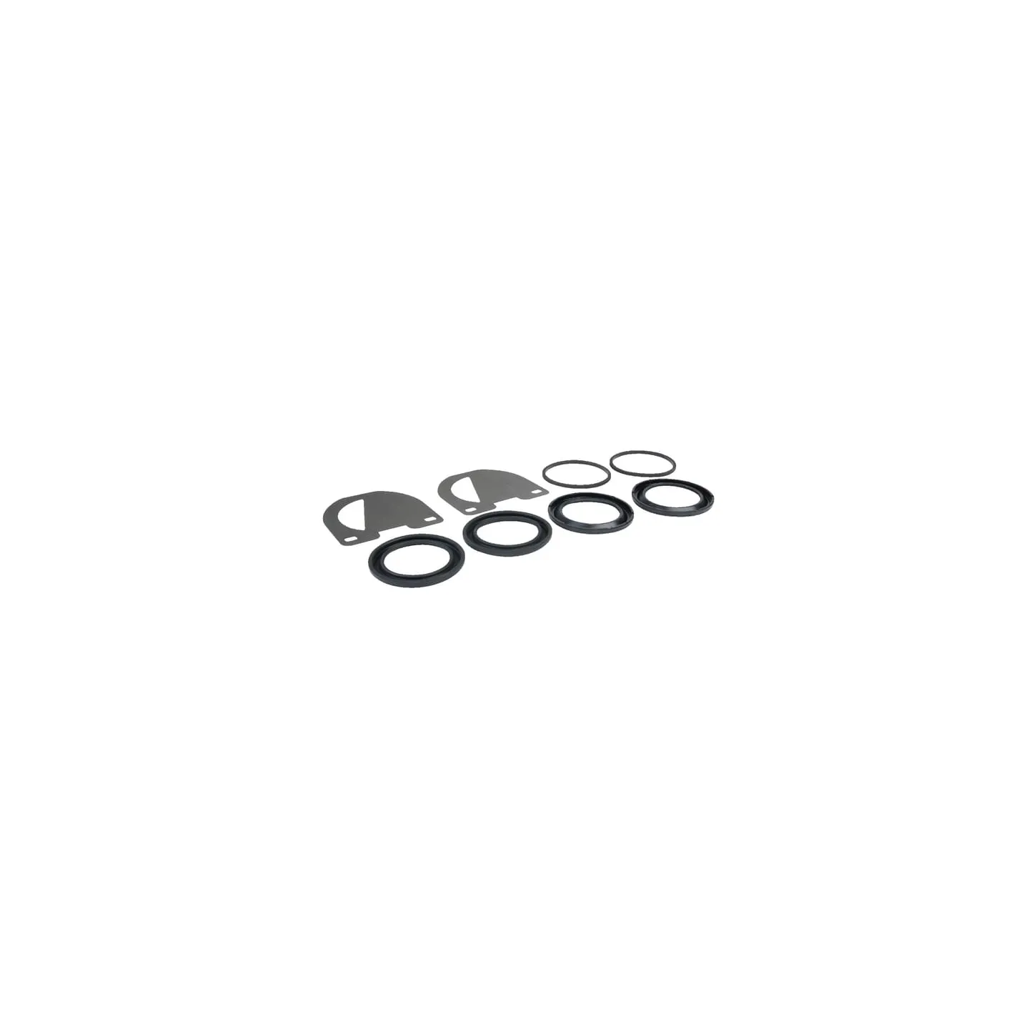 Seal kit for brake caliper   4384832 SDF