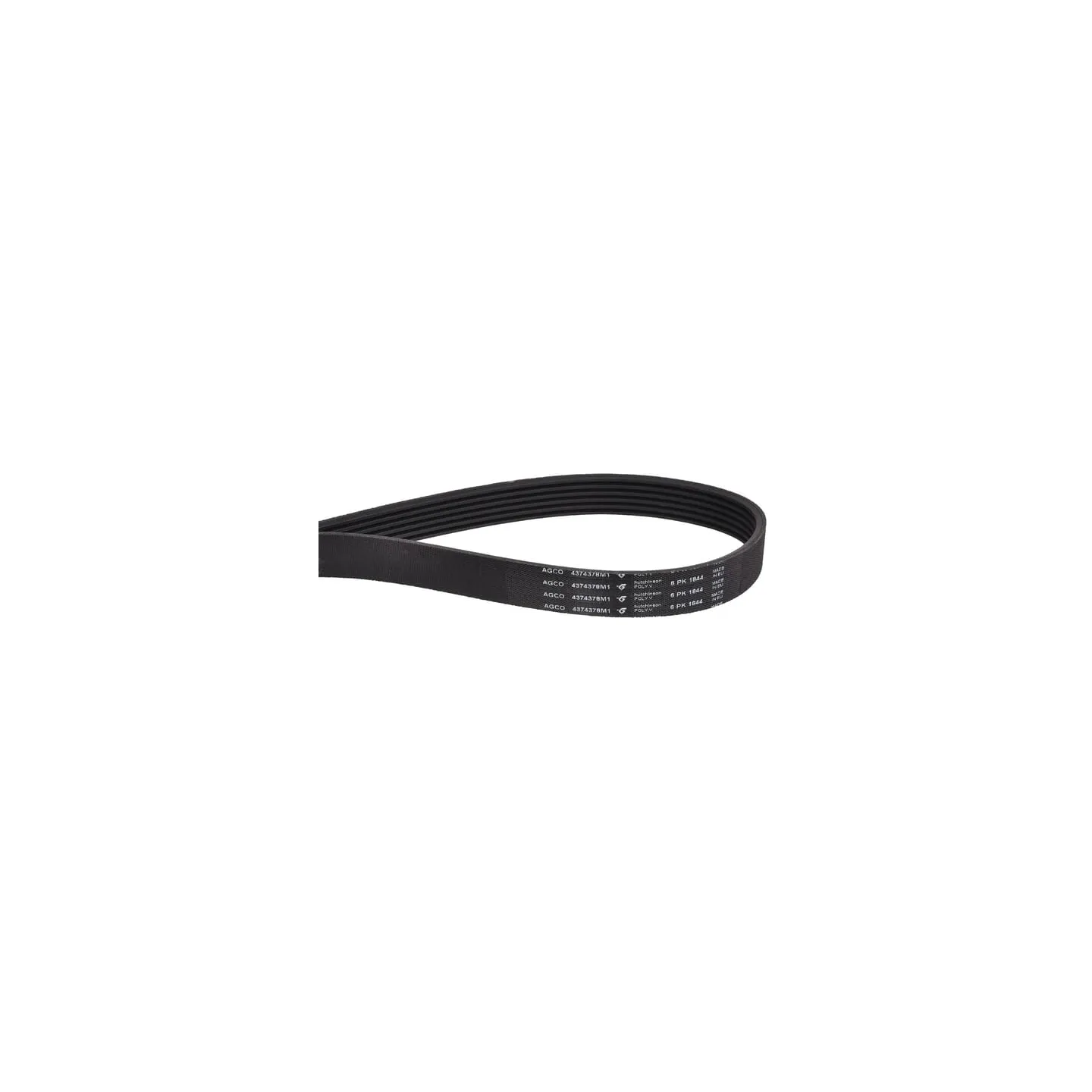 V-belt  4374378M1 Massey Ferguson (AGCO)