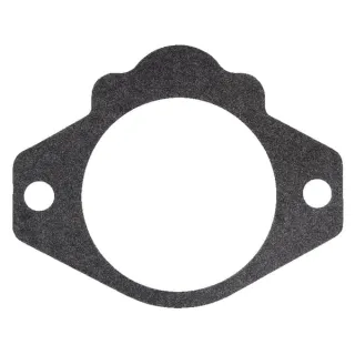 Gasket   4412251 SDF