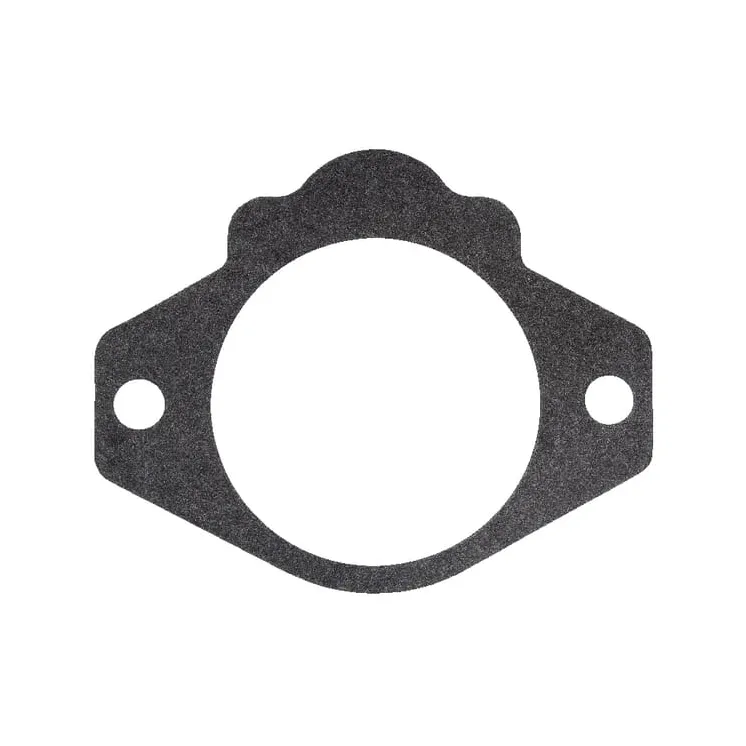 Gasket   4412251 SDF