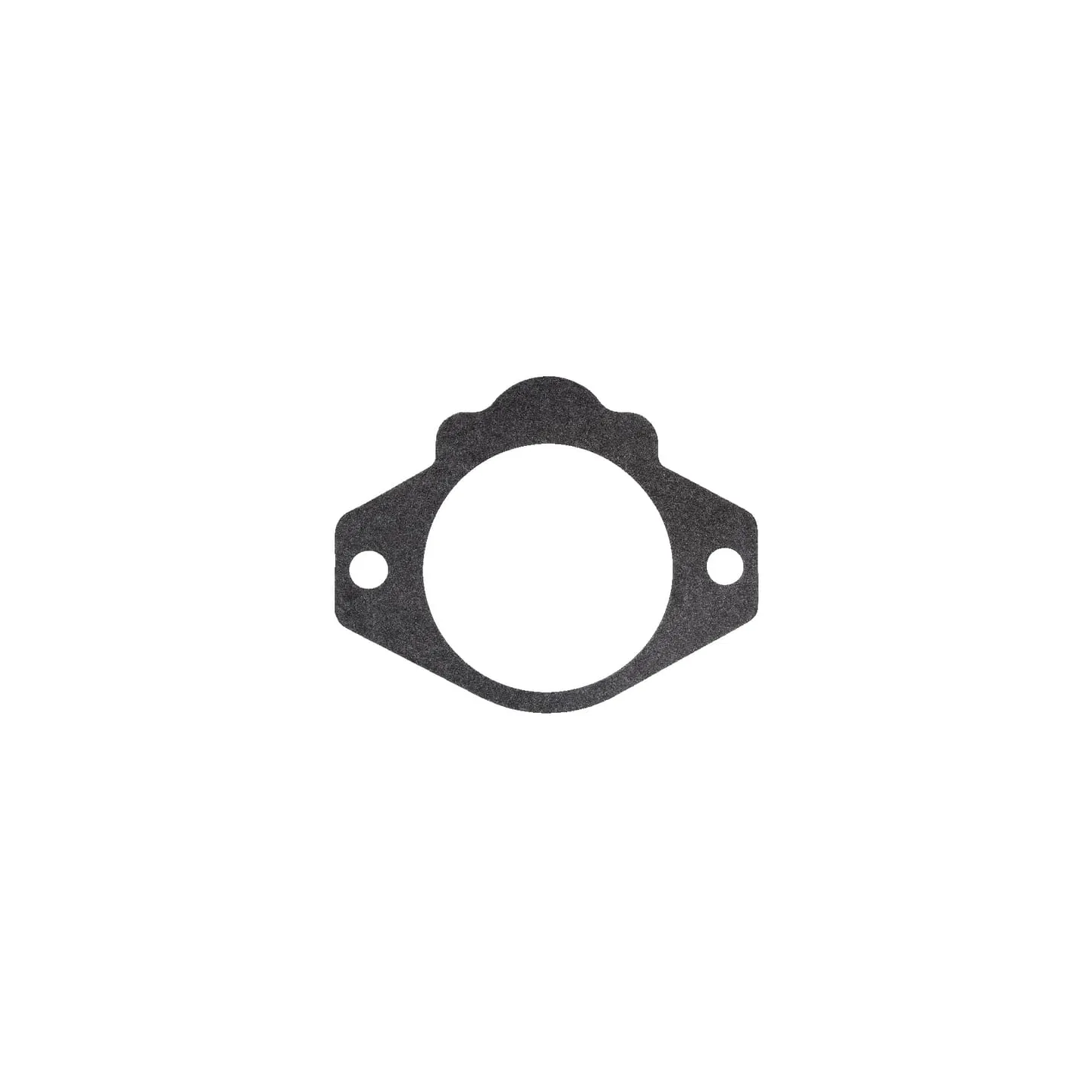 Gasket   4412251 SDF