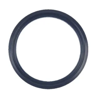 Gasket   4308375 SDF