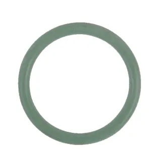 Seal ring   4349395 SDF