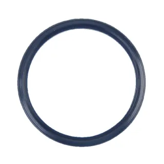 Seal ring   4305924 SDF