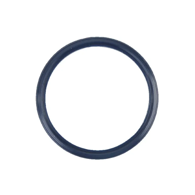 Seal ring   4305924 SDF