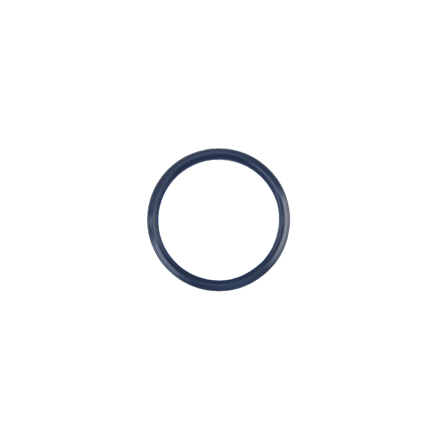 Seal ring   4305924 SDF
