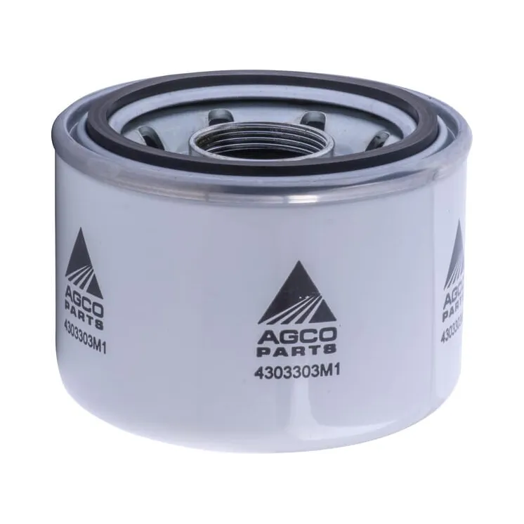Filter piece Filter Saugkorb M  4303303M1 Massey Ferguson (AGCO)