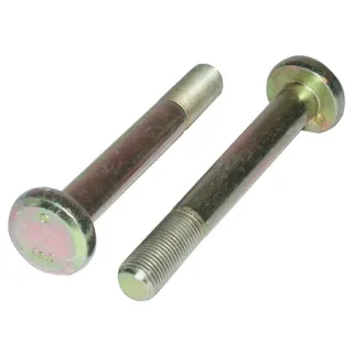 Wheel rim bolt  4316229 SDF