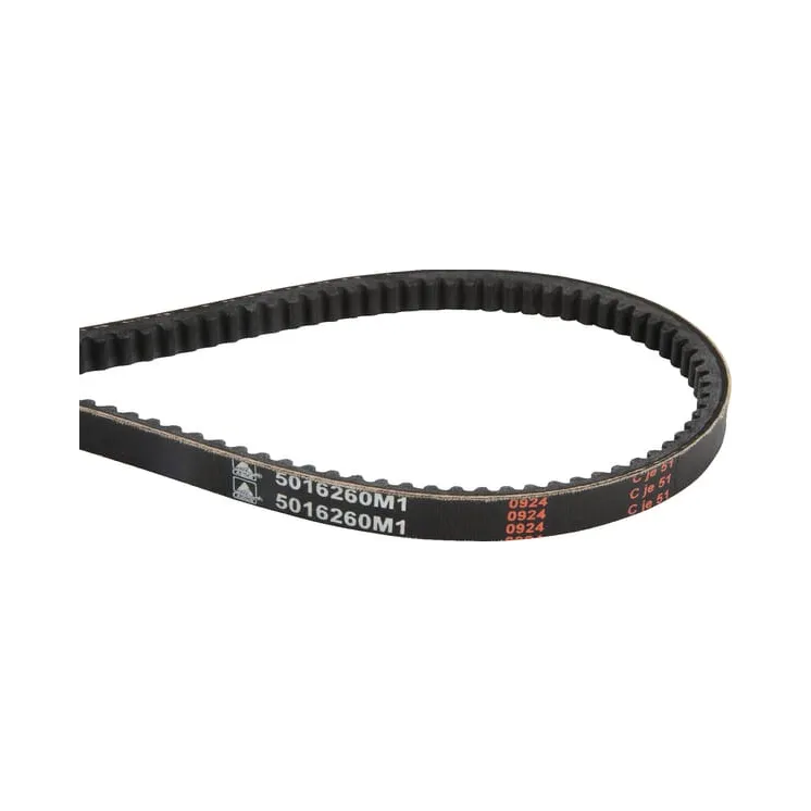 Ķīļsiksna 5016260M1 Massey Ferguson (AGCO)