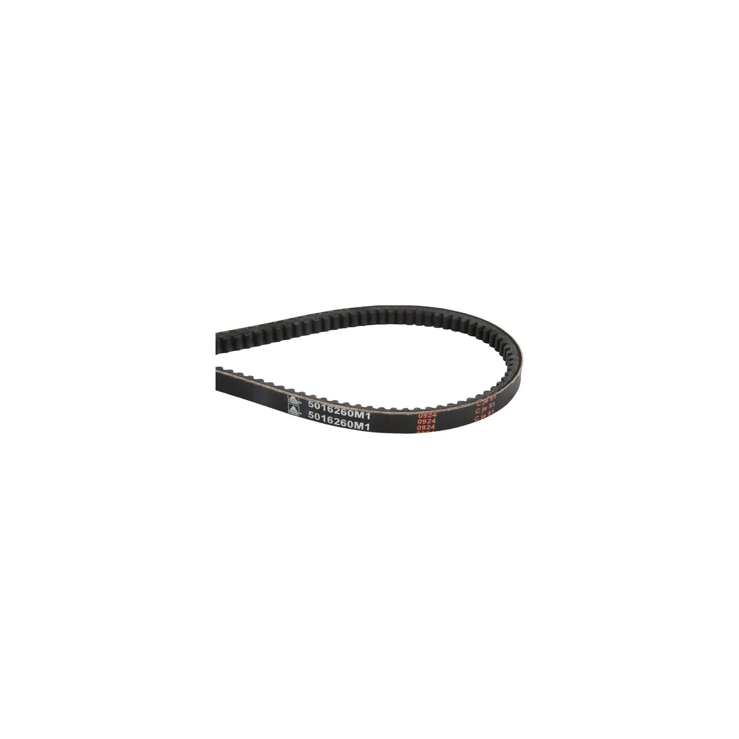 Ķīļsiksna 5016260M1 Massey Ferguson (AGCO)