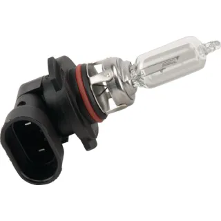 Bulb  6255951M1 Massey Ferguson (AGCO)