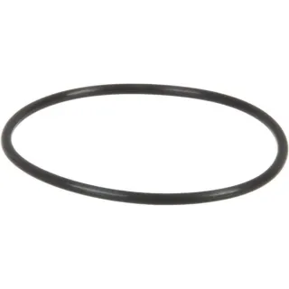 Fuel Pump Gasket  70923816 Massey Ferguson (AGCO)
