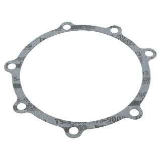 Flat seal  81876951 New Holland