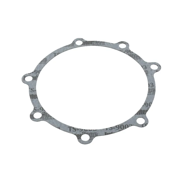 Flat seal  81876951 New Holland