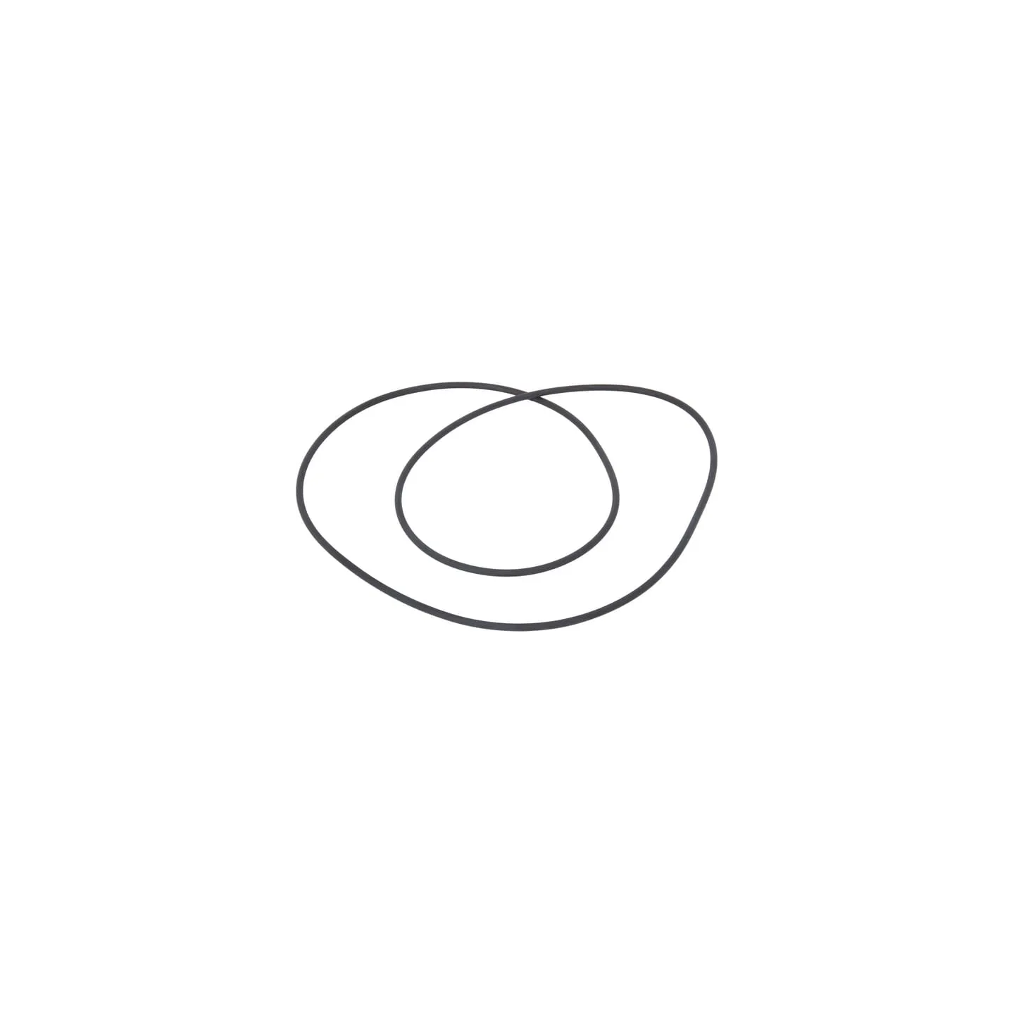 O-ring  83997832 New Holland
