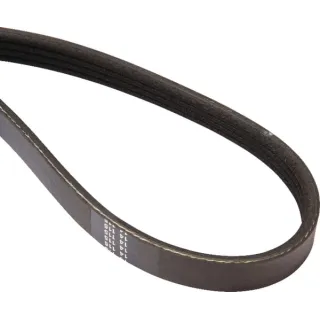 Belt  84305213 New Holland
