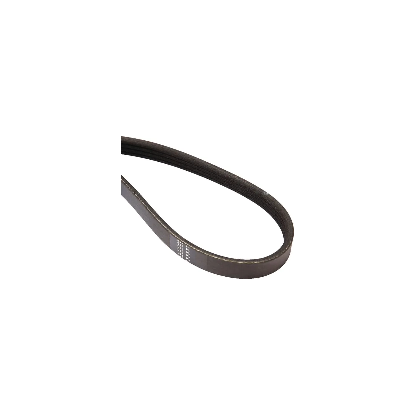 Belt  84305213 New Holland