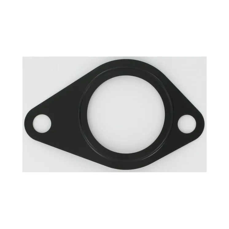 Water pump gasket  87800983 New Holland