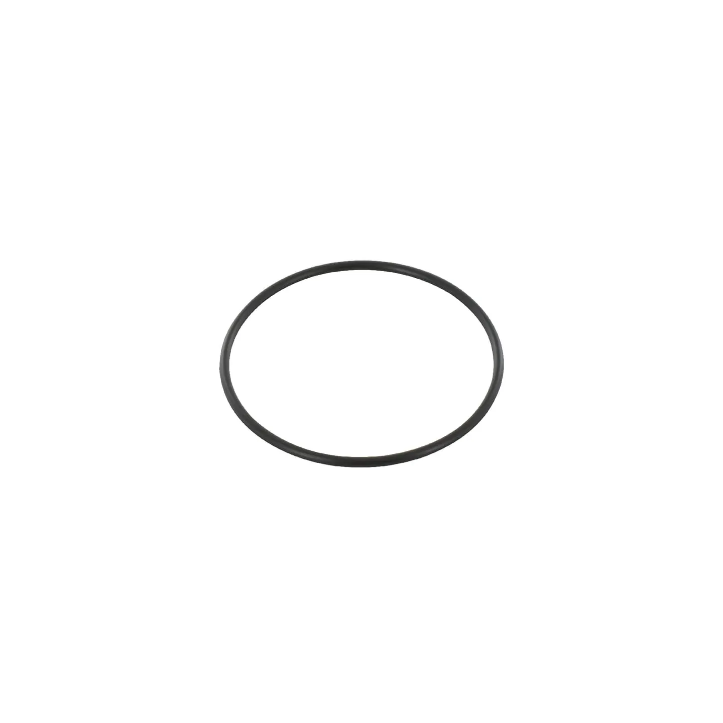 O-ring  87421145 New Holland