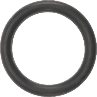 O-ring  9617873 New Holland