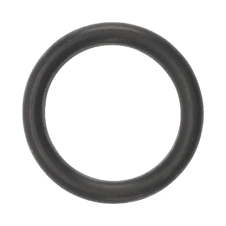 O-ring  9617873 New Holland