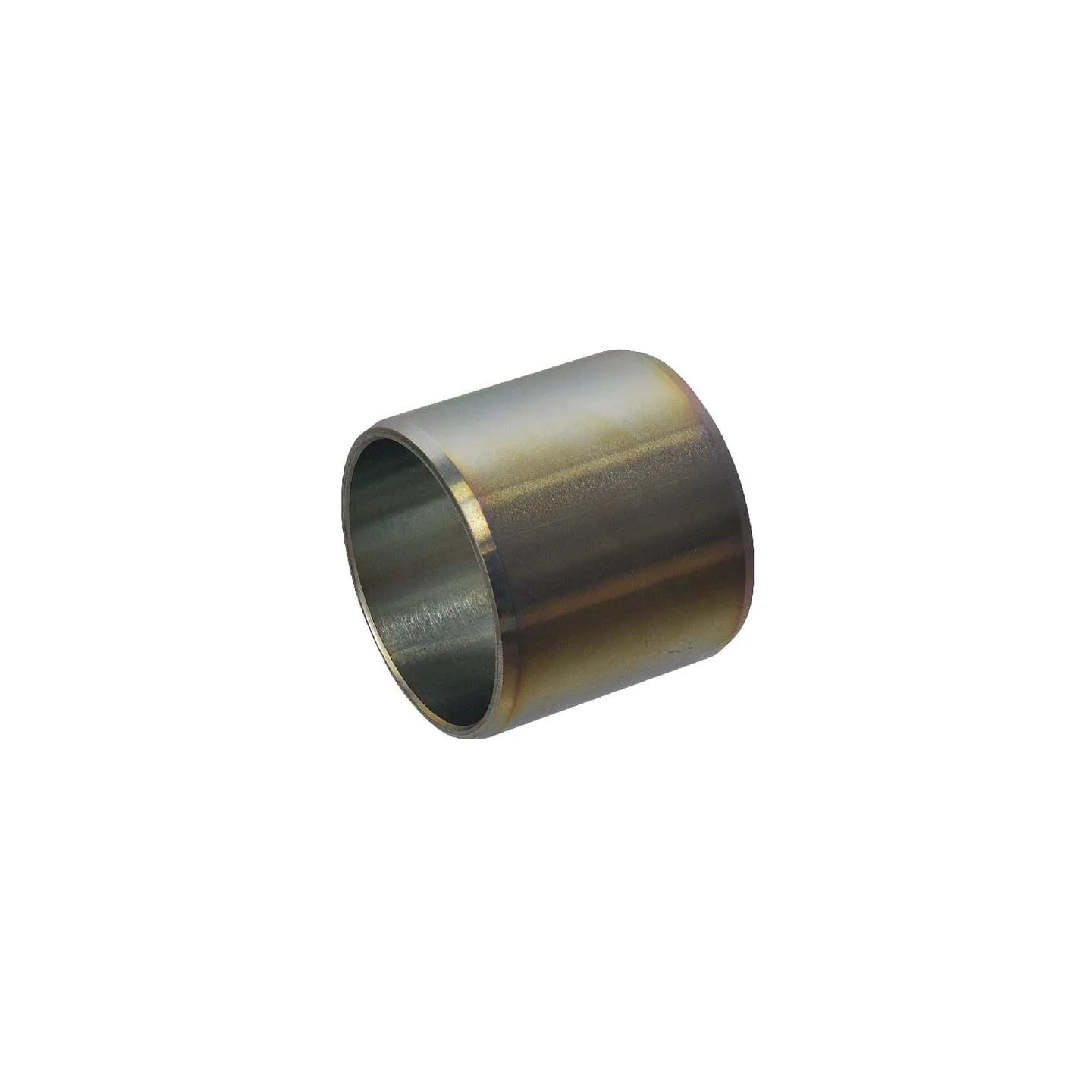 Bushing  F718301020520 Massey Ferguson (AGCO)