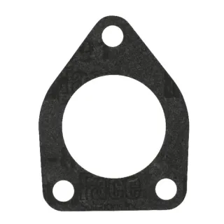 Fuel Lift Pump Gasket  V836329194 Massey Ferguson (AGCO)