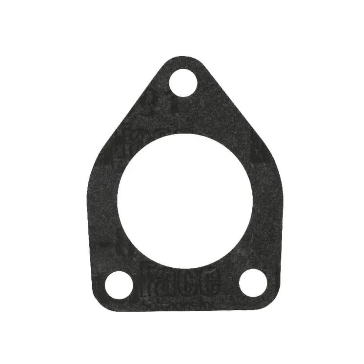 Fuel Lift Pump Gasket  V836329194 Massey Ferguson (AGCO)