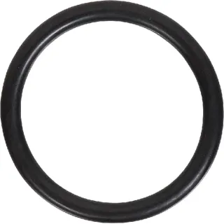 Thermostat Gasket  V614604958 Massey Ferguson (AGCO) 614604958