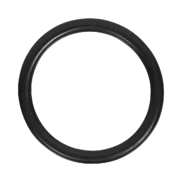 Thermostat Gasket  V614604958 Massey Ferguson (AGCO) 614604958